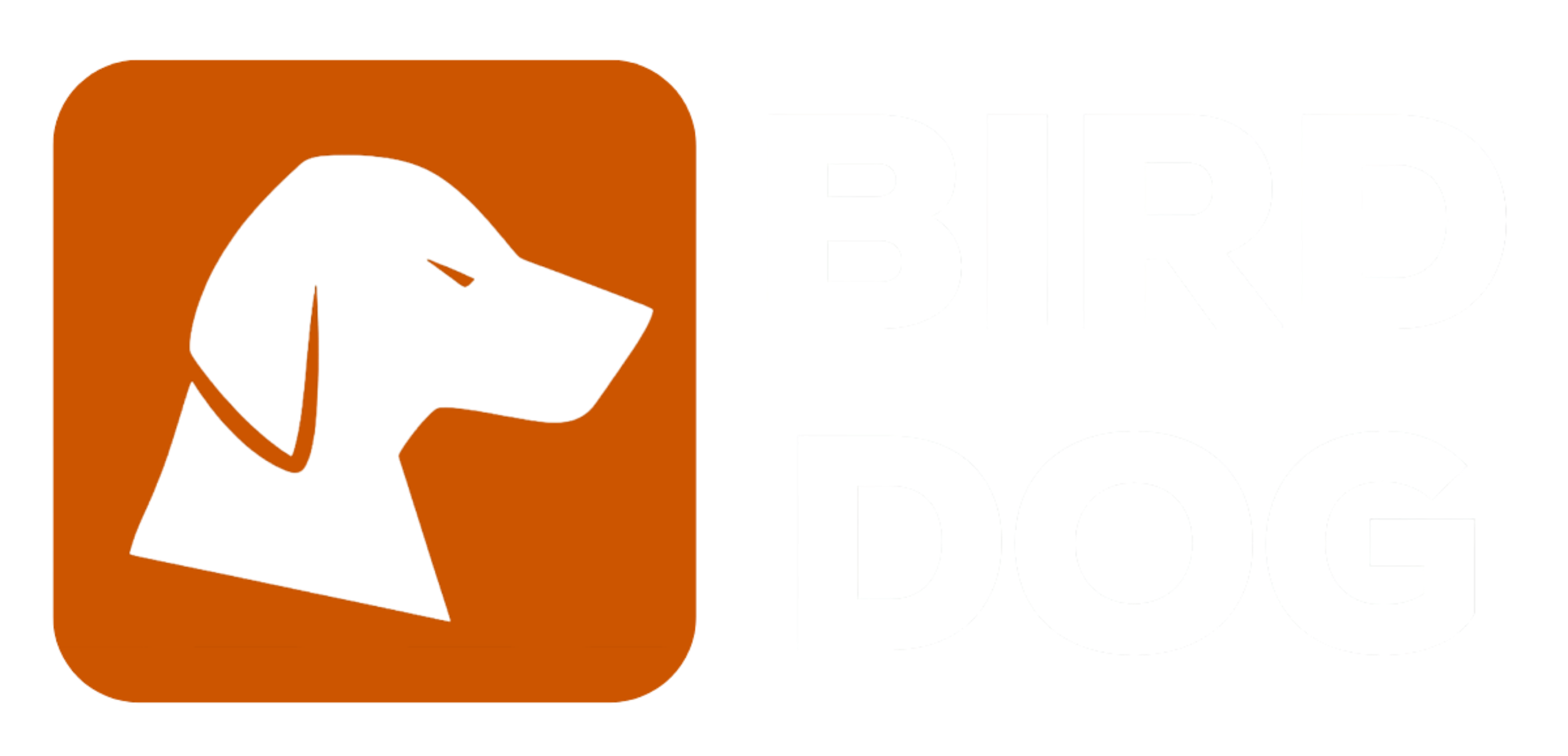 Bird Dog